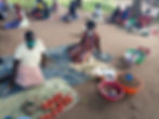 VSAL 1